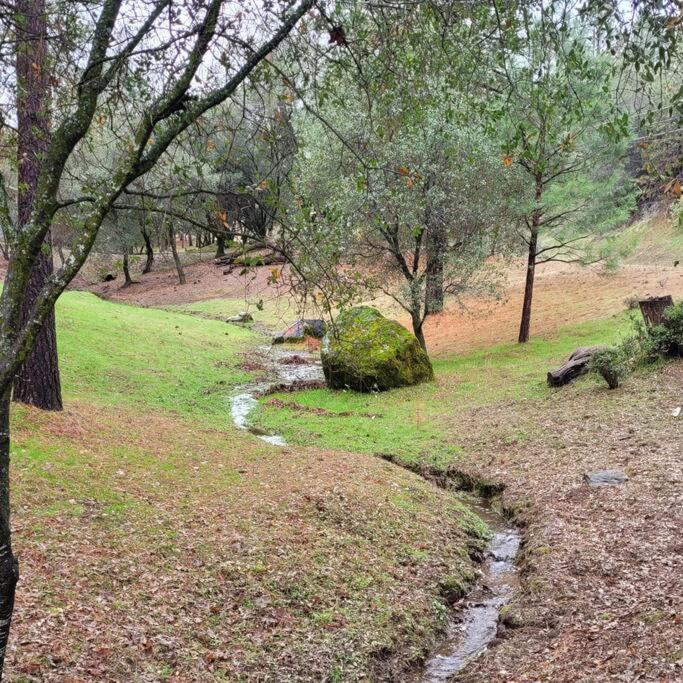 Home In Groveland Near Yosemite Np Экстерьер фото